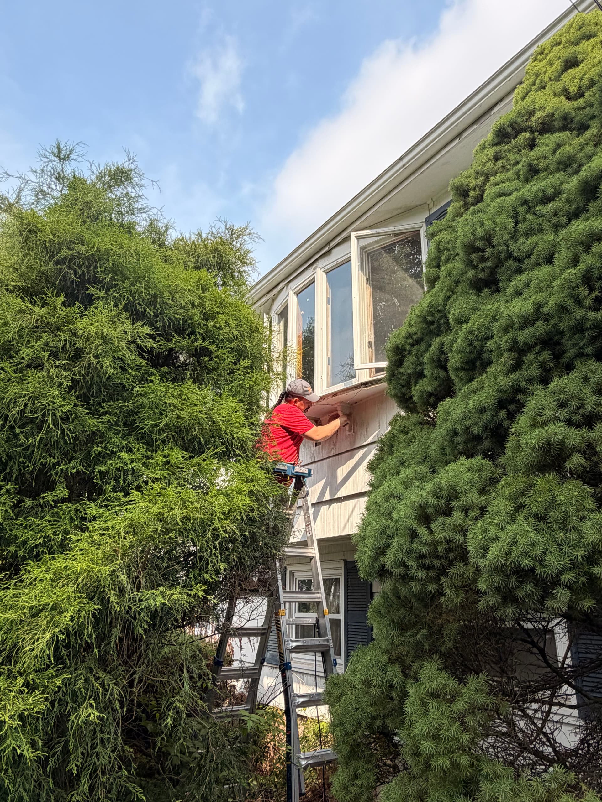 Gallery photos for Window Replacement Done Right in East Hartford CT: Image #1